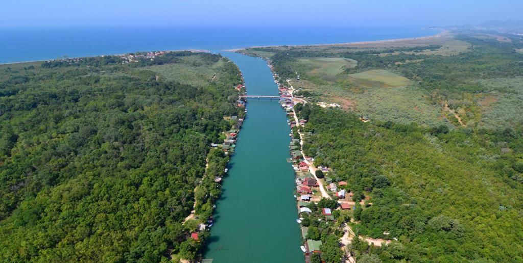 アクティビティ