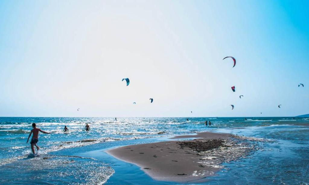 アクティビティ