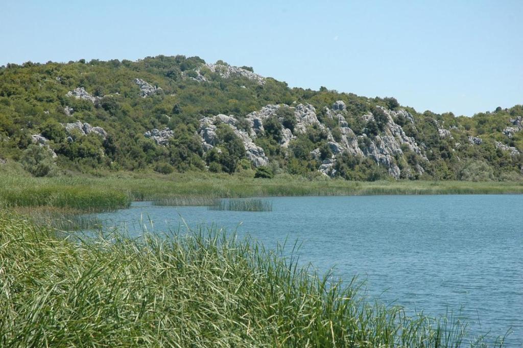 アクティビティ