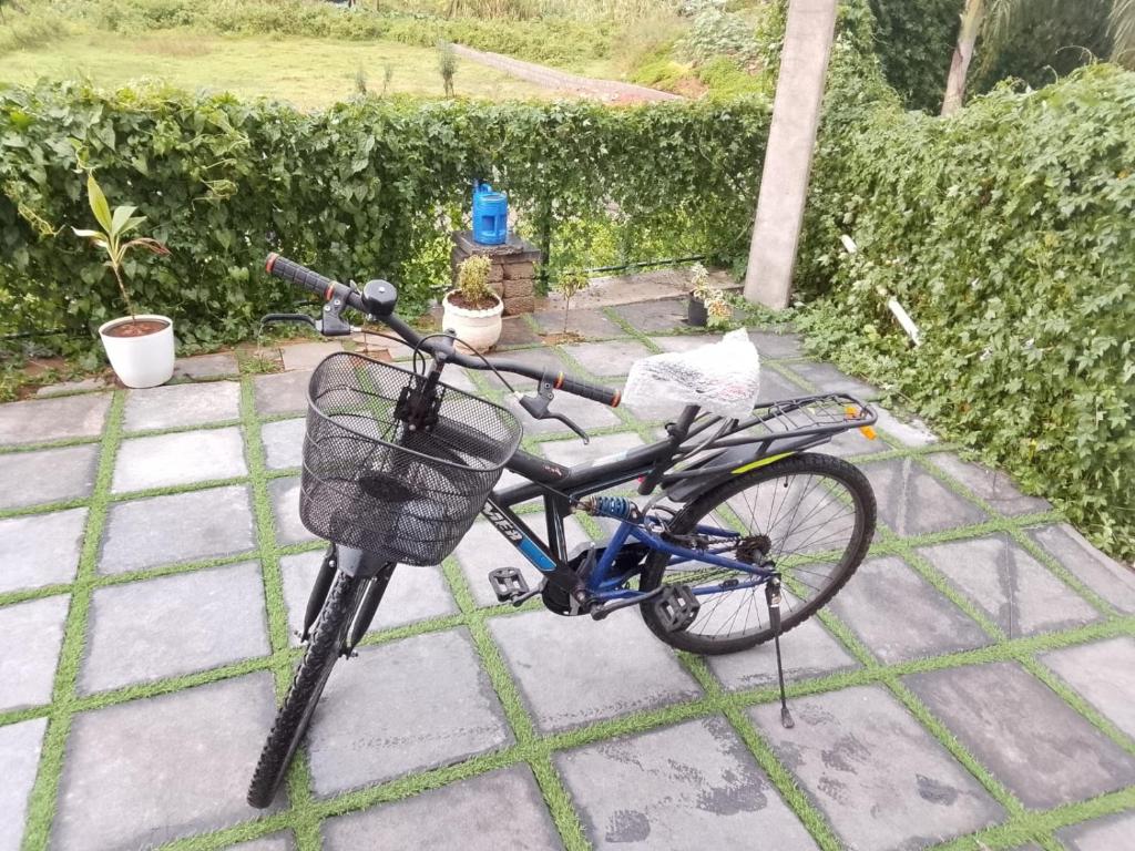 スポーツ/アクティビティ