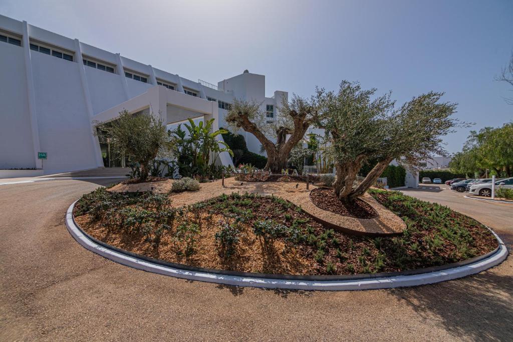 MarSenses Rosa del Mar Hotel & Spa — Obiekt in Palmanova, Baleary