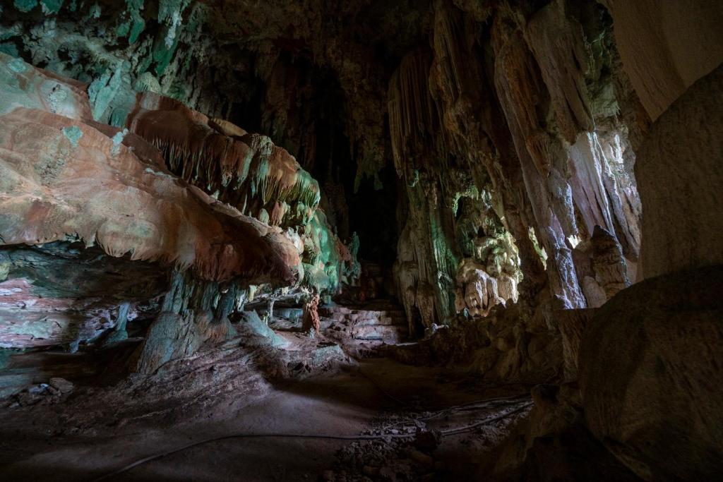 Surrounding environment