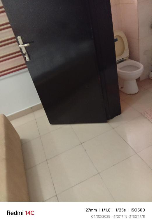 Agent Busayo Hapartment, Lekki