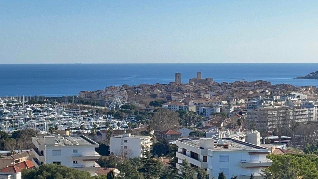 Superbe 2 pièces Antibes vue mer, piscine, parking - 3