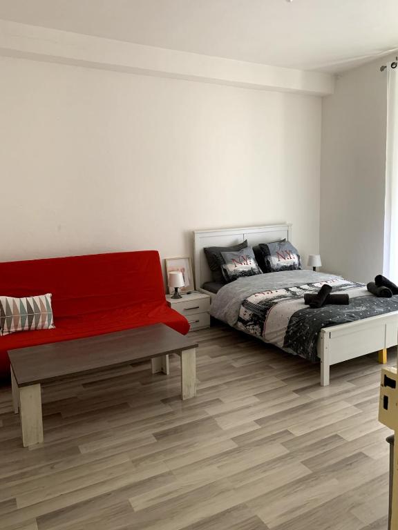 Grand appartement proche centre et tram - 1
