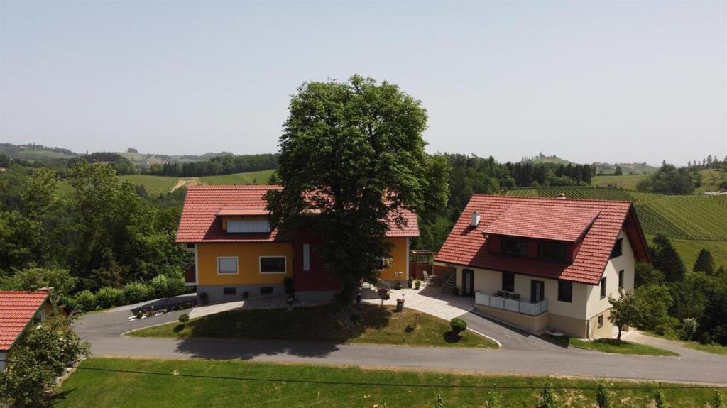 Ferienwohnungen Kumpitsch am Poharnigberg - Eorykogel - 3