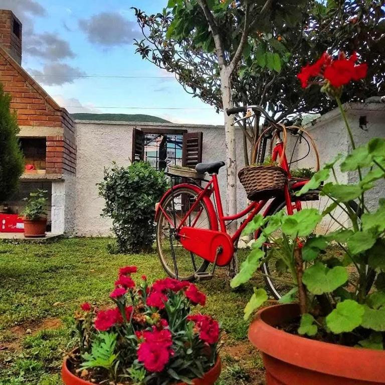 Vacation house Vila Guma Rastani Mostar - 2