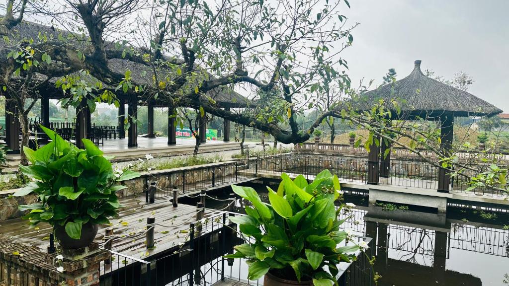 Tien Yen Farmstay