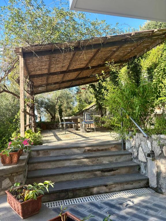 Il carrubo sul mare - 5