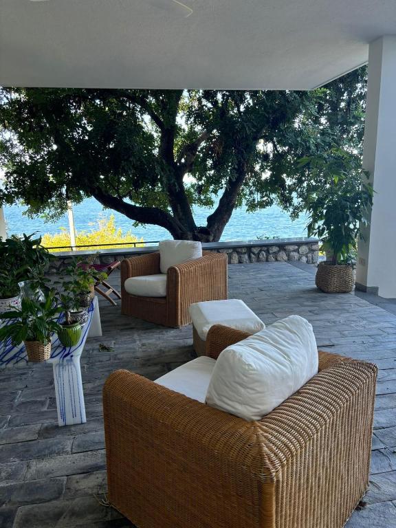Il carrubo sul mare - 3
