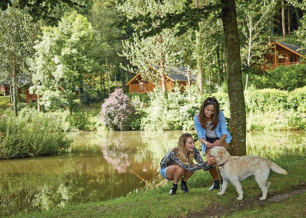 Bulworthy Forest Lodges, Instow