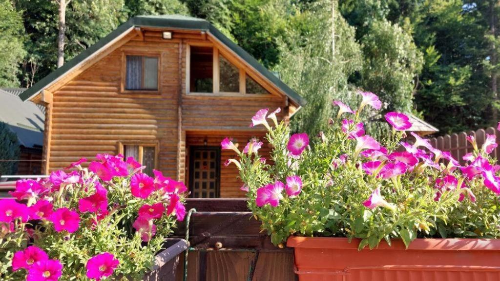 Lodge House Tara - 2