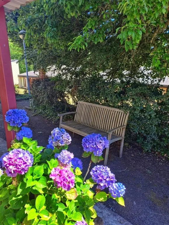 Appartement à 200 m du lac de la Raviège，位于拉萨尔韦塔的酒店