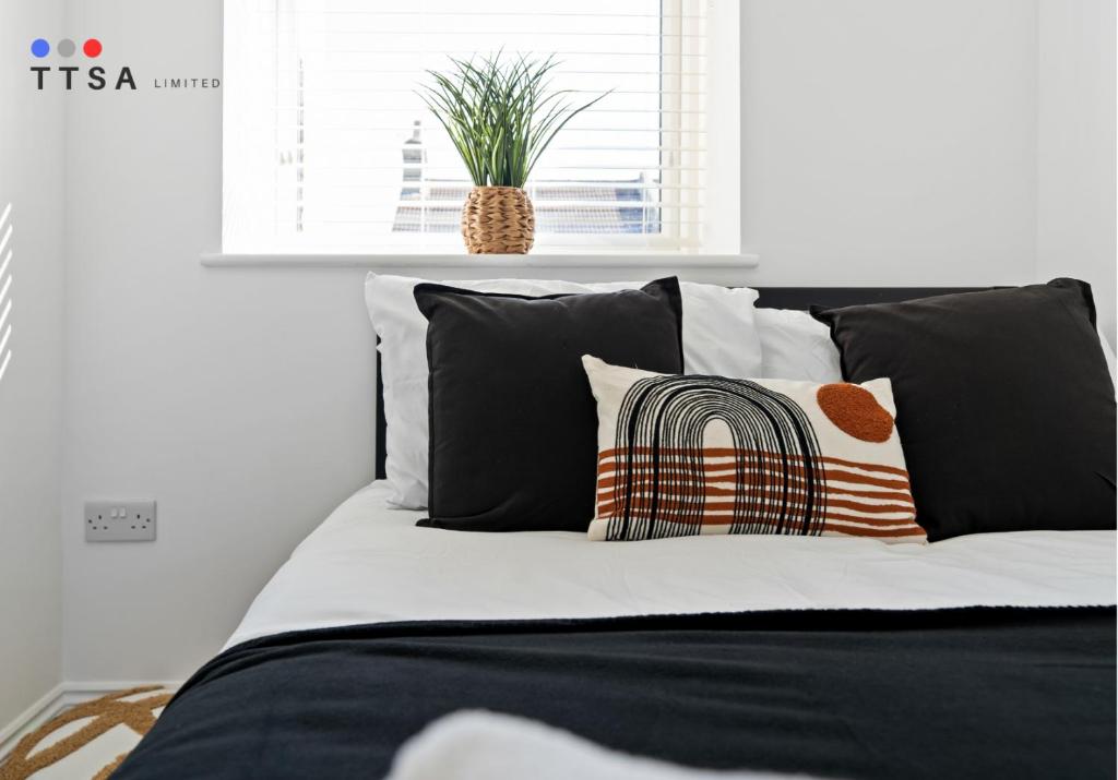 TTSA - Studio - Norwood Junction - B3, Norwood