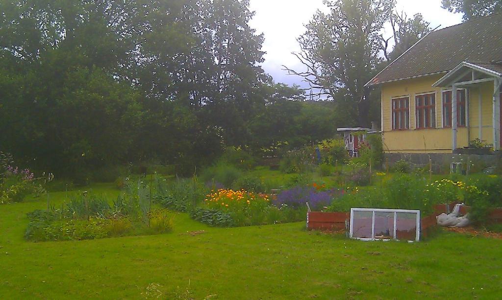 trädgård