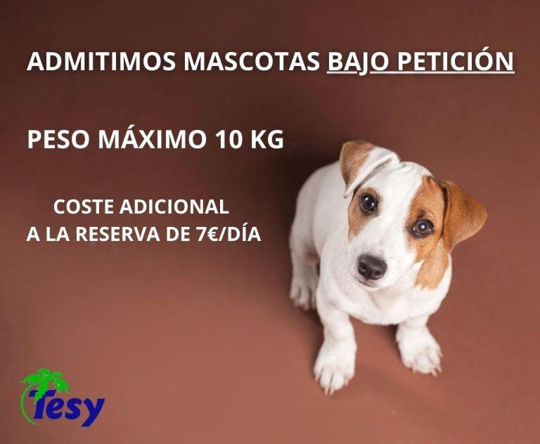 Apartamentos Tesy - 2