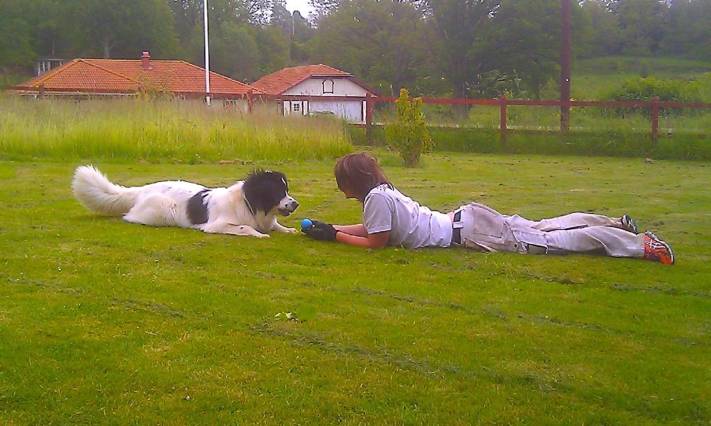 Hotellet från utsidan