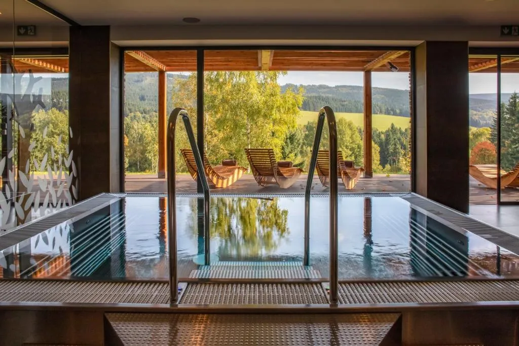 Amenity Hotel & Resort Orlické hory，位于德尔内夫奥里克的酒店