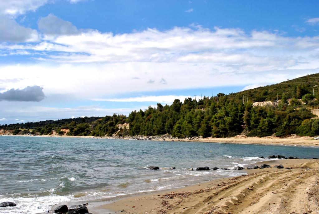 Halkidiki Luxurious Stonehouses photo