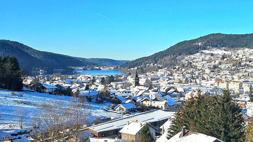 f2 VUE INCROYABLe sur lac avec jardin avec balnéo et 400m centre - 1