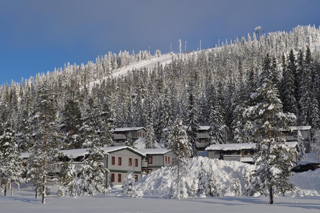 SÄLEN, Ski in-Ski out, Lägenhet 12C Grå Byn, Sälen