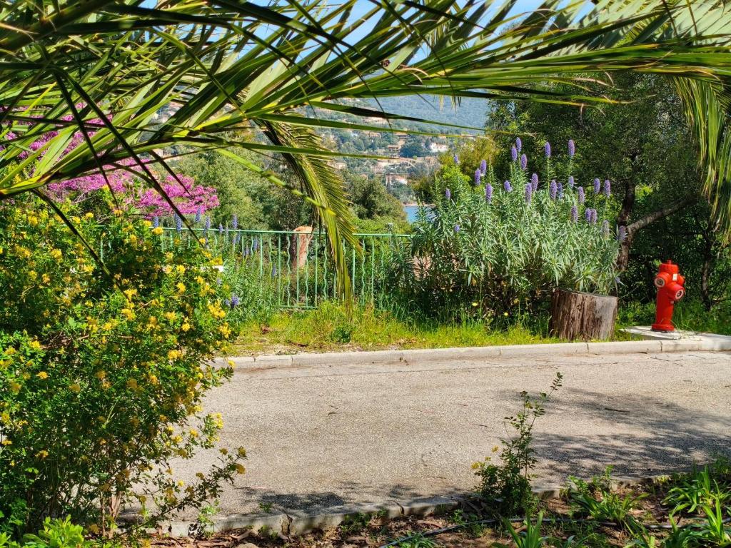 Domaine de la pinède Le Lavandou Pramousquier - 3