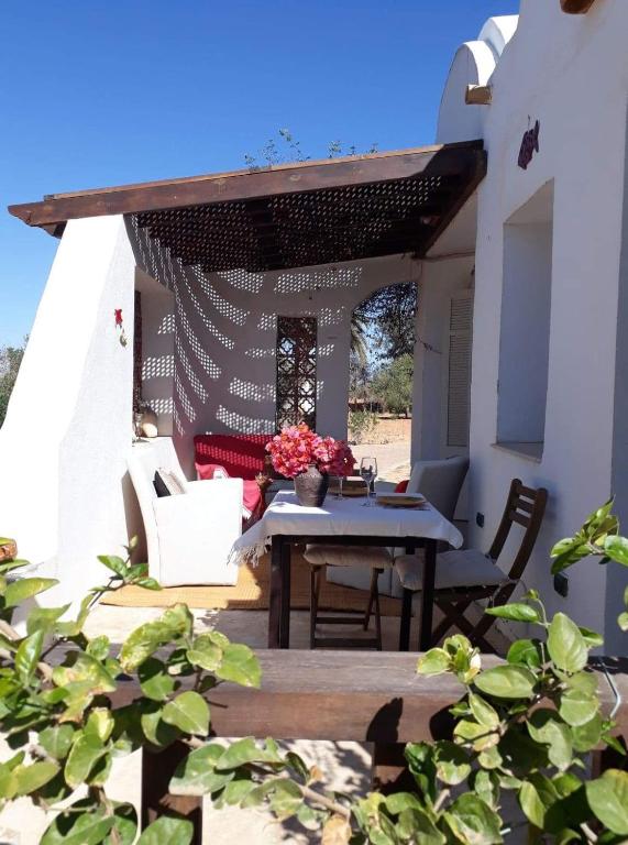 L'orangeraie dans domaine Darmarzouk, Wadrān