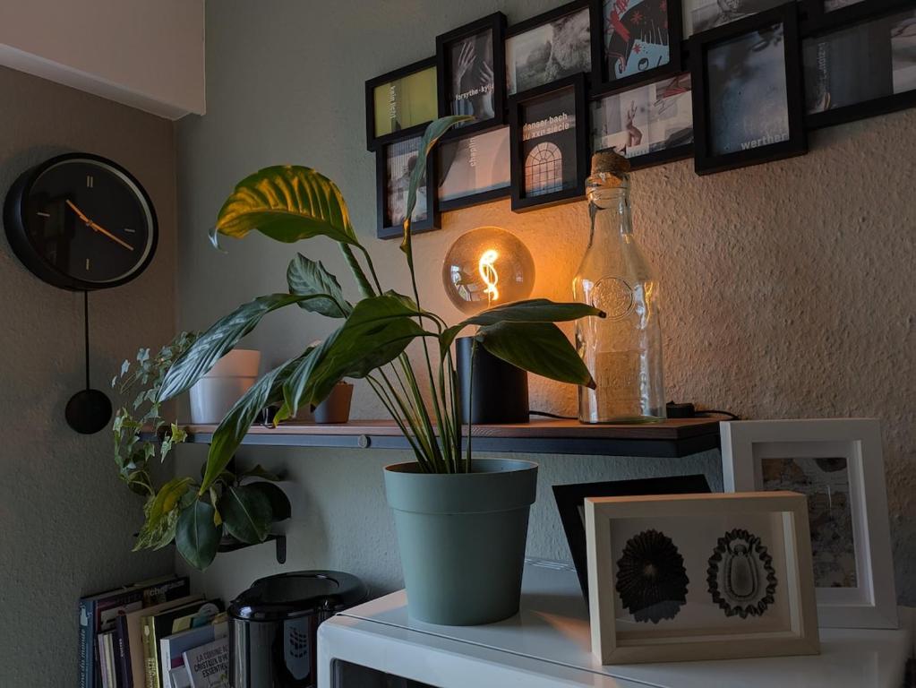 Charming apartment in a great location - 5