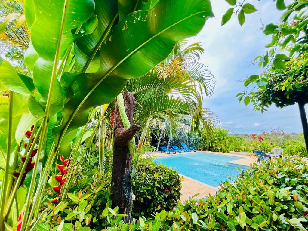 Verde Atardecer Napoles - 2