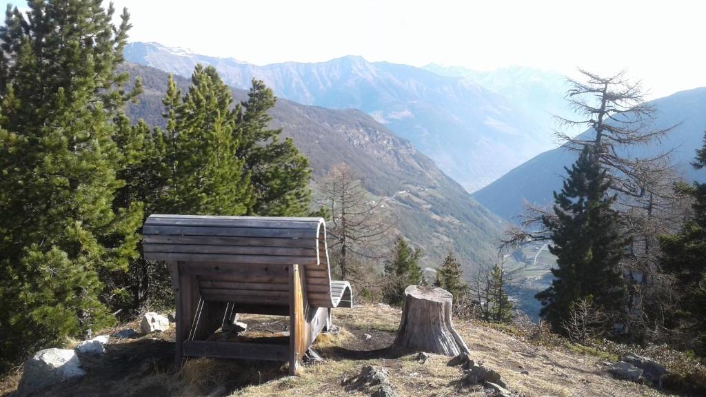 Berggasthof Stallwies - 4
