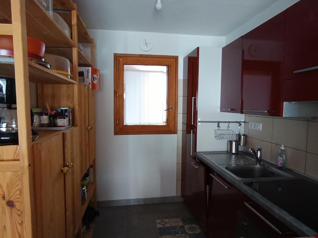 Appartement skis aux pieds avec grande terrasse, animaux admis et box fermé - 2