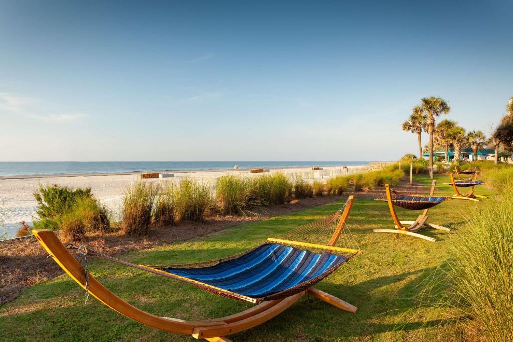 Hilton Beachfront Resort & Spa Hilton Head Island - Room image