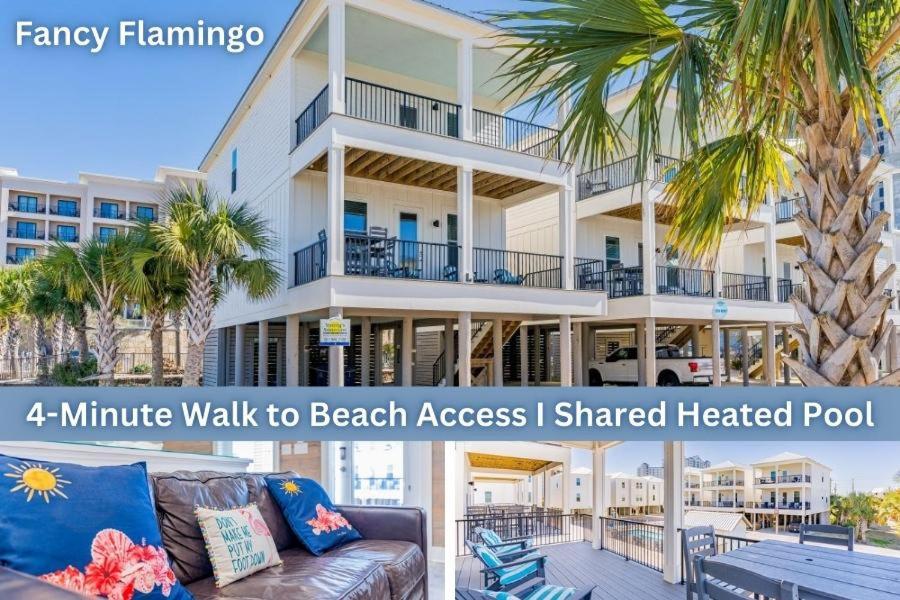 Fancy Flamingo, Gulf Shores