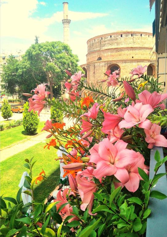 The Green Corridor - Thessaloniki City Center, Soluň