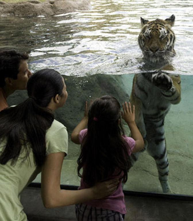 Atracciones