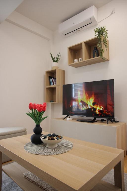 Apartman SNEG - 3