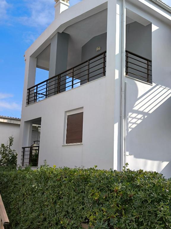 Polychrono Waves, Polychrono