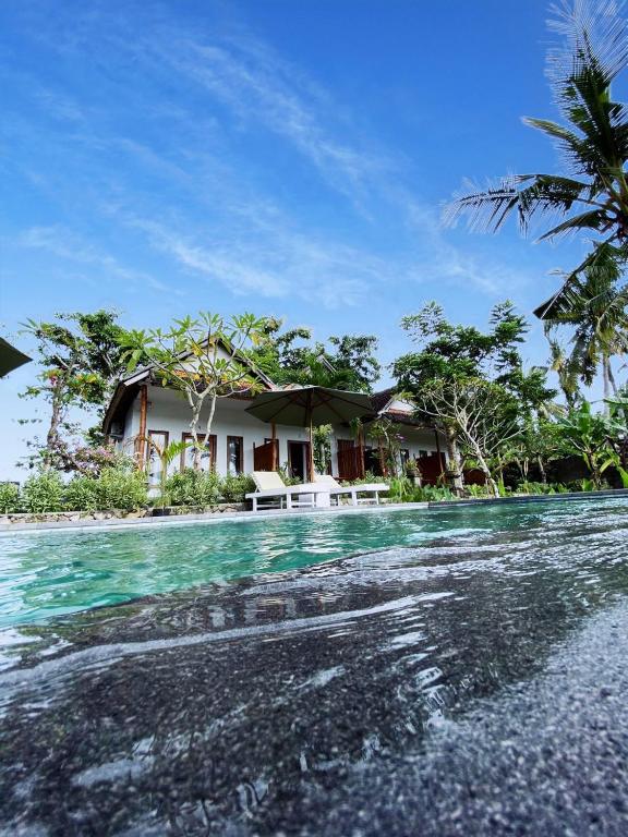 Green Sunrise Hill View