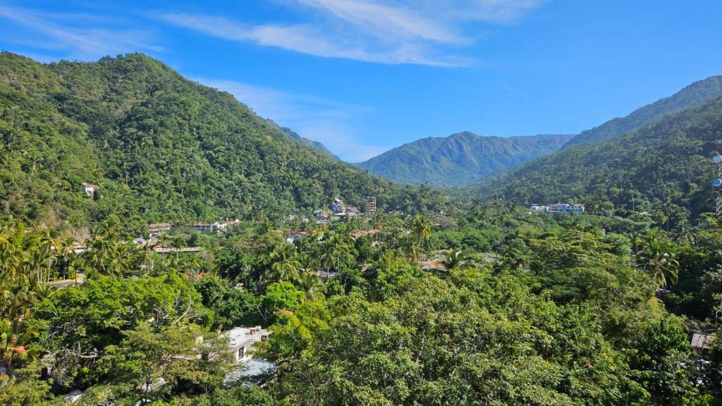 Casa Mismaloya Selva - 5
