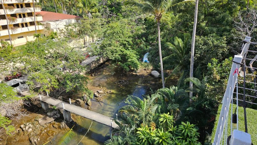 Casa Mismaloya Selva - 3