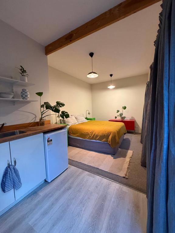 Sleepout on Stone St, Wanaka