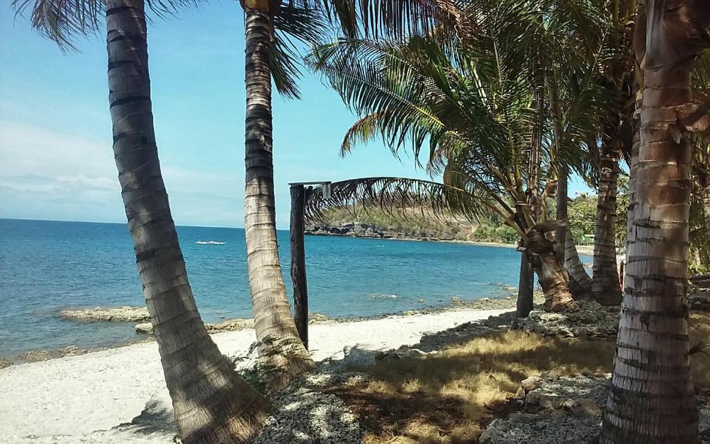 Surrounding environment