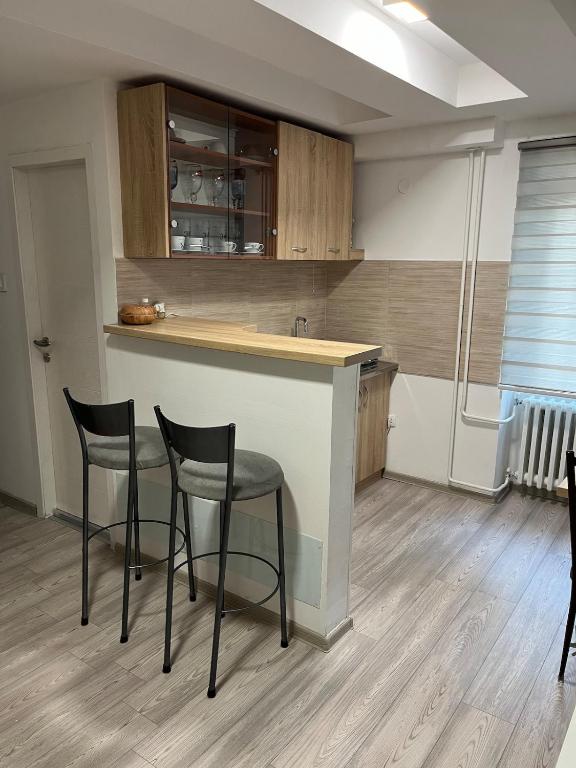 Novi Sad Oasis - 5
