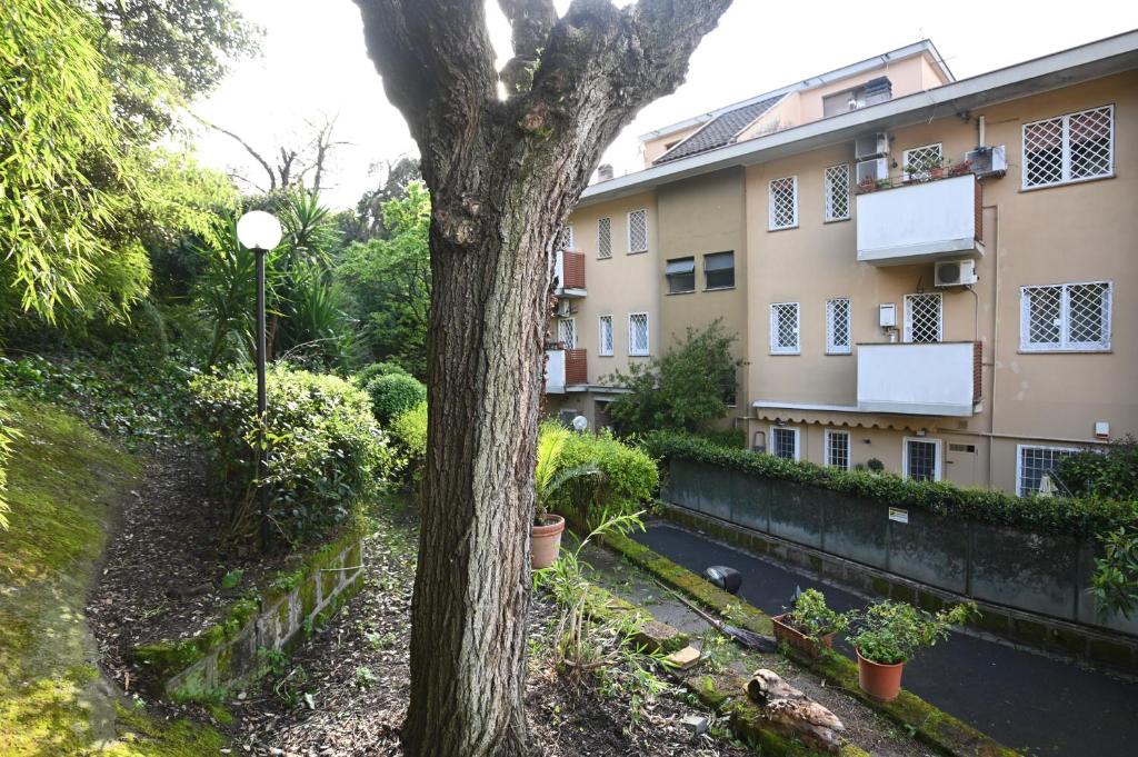 Vatican Firefly House - 2