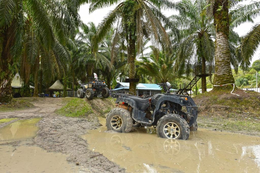 Otternest Camp Gunung Pulai 9