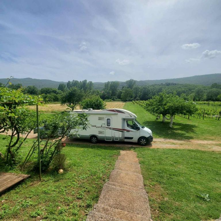 Purple Eye Camp & Winery - 2