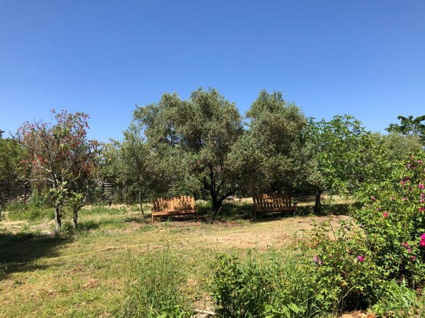 L'UMBRIA Studio - 4