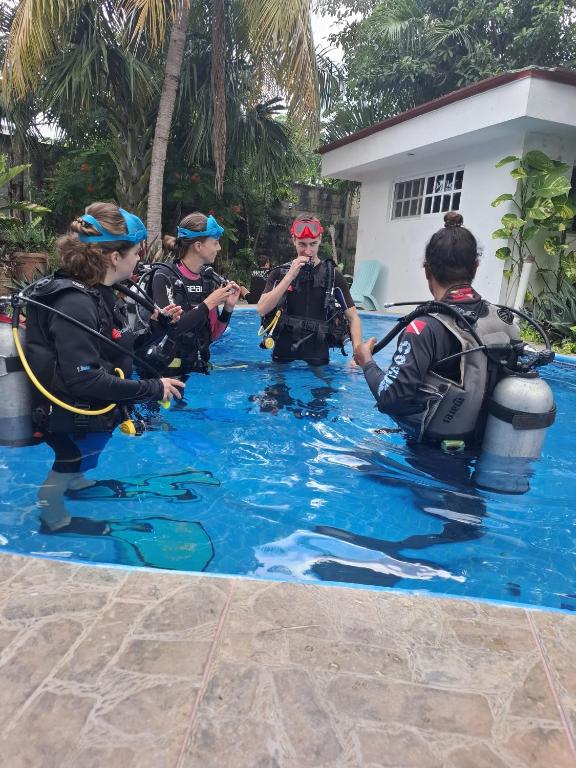 Casamaya Hostel & Diving - 5