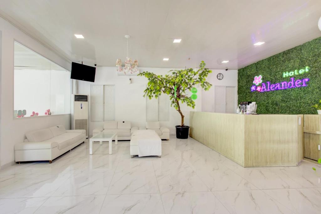コレクション O ガンビル ニア マスジッド イスティクラル 旧：アレクサンダー ホテル (Collection O Gambir Near Masjid Istiqlal Formerly Aleander Hotel) フロント・ロビー