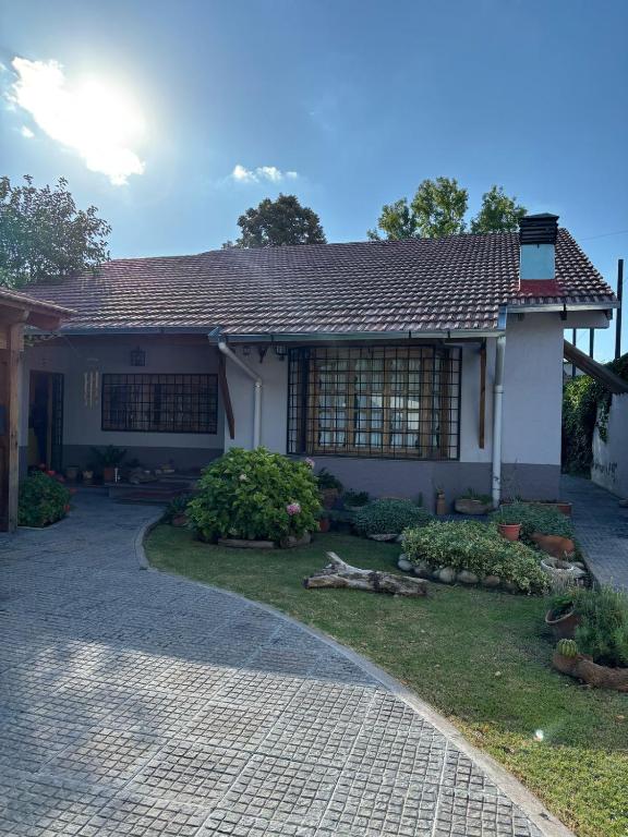 NEWEN POSADA, La Consulta